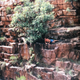 Who knows where this is? Not me, it looks cool. Just like in the US, Oz has many great spots you just have to dig a little deeper to find.